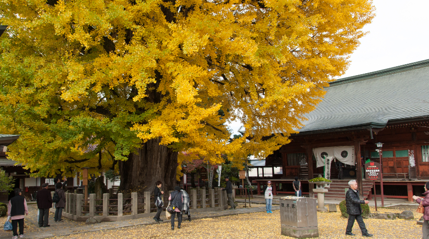 13, 国分寺本堂（日本遺産構成文化財）