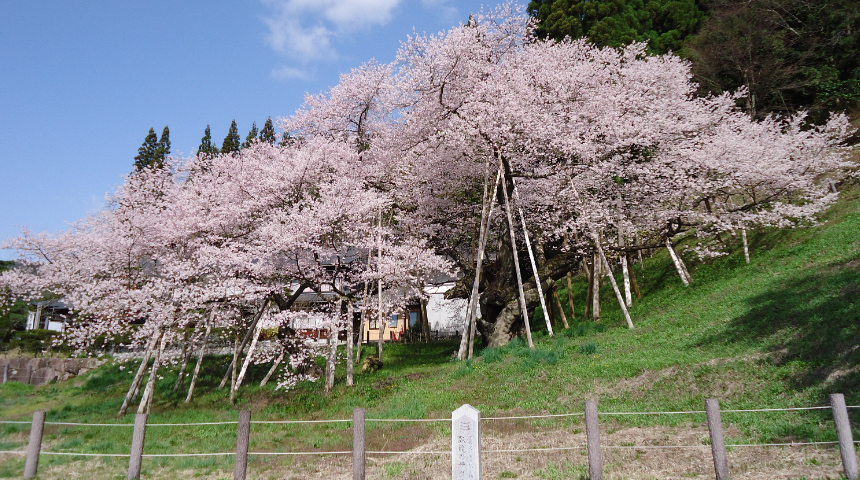 臥龍公園