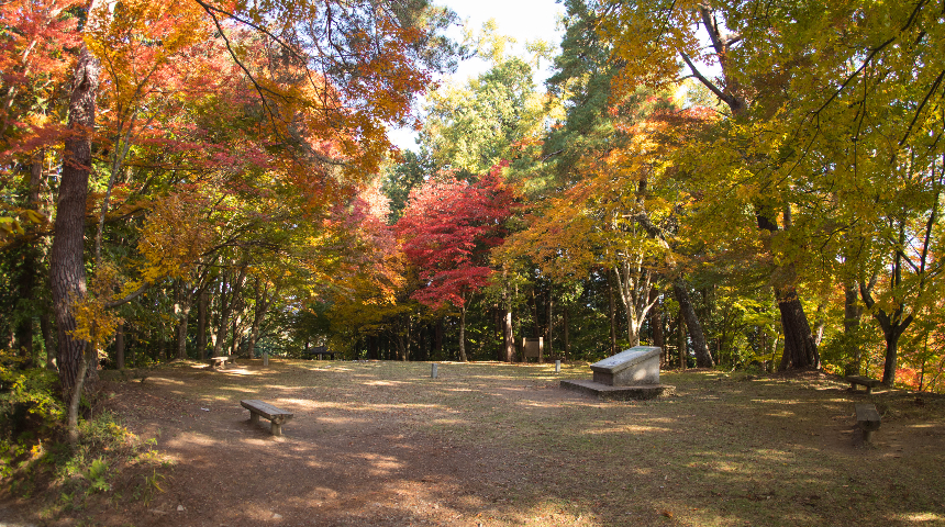 16, 高山城跡（日本遺産構成文化財）